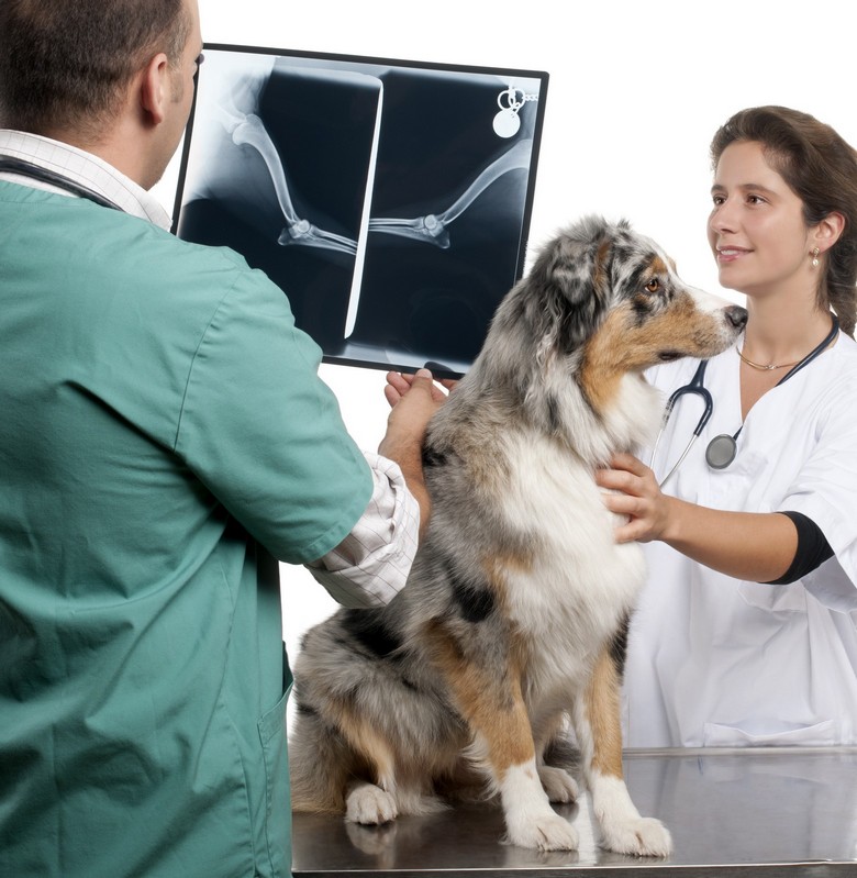 Diagnostic Imaging