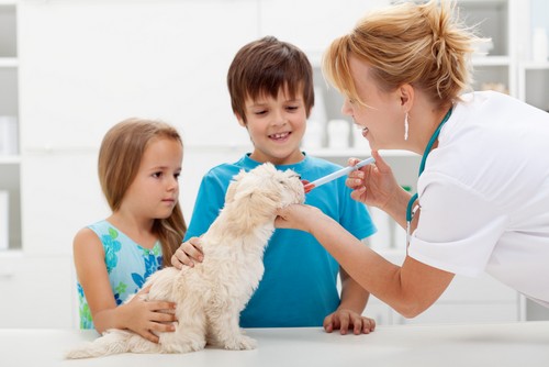 Vaccinations  Kingsley, MI